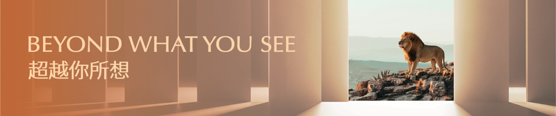 Website_banner